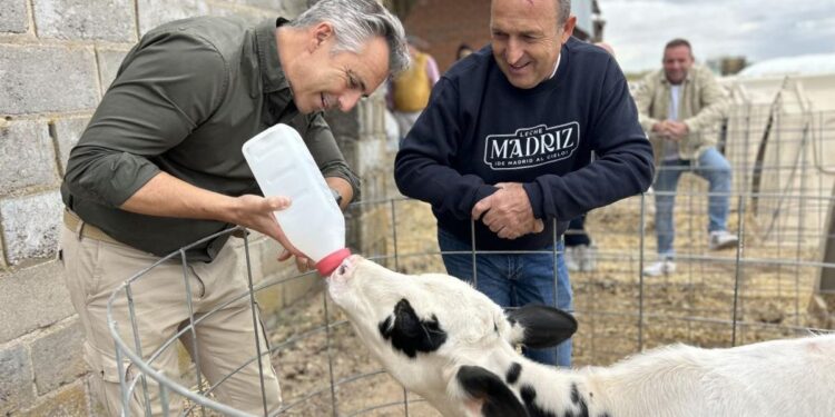 Madrid aumenta un 29% las explotaciones de vacuno de leche en cuatro años