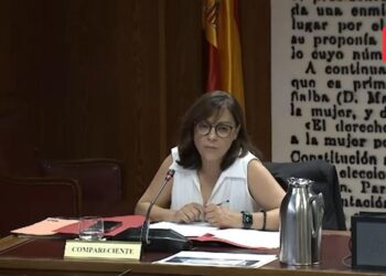 Debate de los pagos bancarios o en efectivo en el Senado