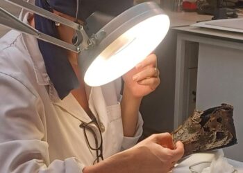 La brigada que ha salvado 10 tejidos nazaríes únicos en el mundo: ‘Los colores han vuelto a resurgir’