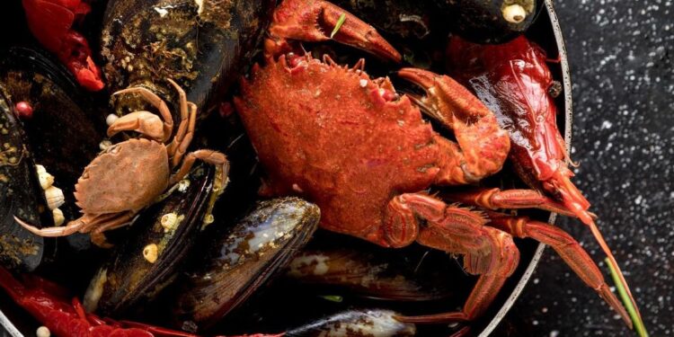 El marisco gallego desembarca en Las Rozas: un viaje al norte sin salir de Madrid