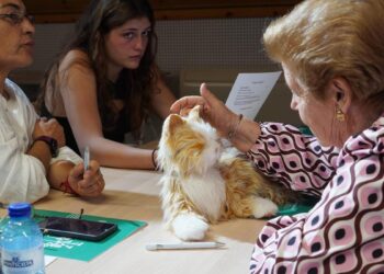 Castilla y León: El envejecimiento como oportunidad para innovar