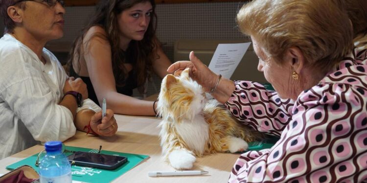 Castilla y León: El envejecimiento como oportunidad para innovar