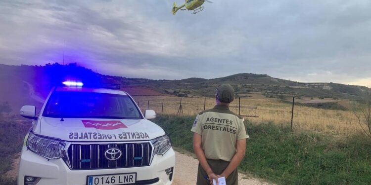 Un juez obliga a la Comunidad de Madrid a pagar el complemento específico a un agente forestal de baja por incapacidad temporal
