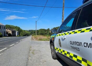 Detenido un hombre de 35 años por la muerte de una joven en Sevilla: se investiga como violencia machista
