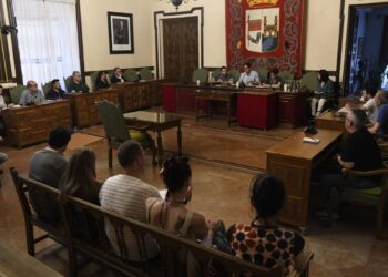 Zamora quiere más trenes con Madrid: pide prorrogar abonos y sumar servicios Avant directos