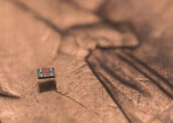 Robots submilimétricos: la nueva generación de microbots que podría revolucionar la medicina