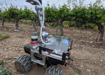 Robots que se mueven entre viñedos: investigadores de la Politécnica de Madrid contribuyen a una vendimia más eficiente
