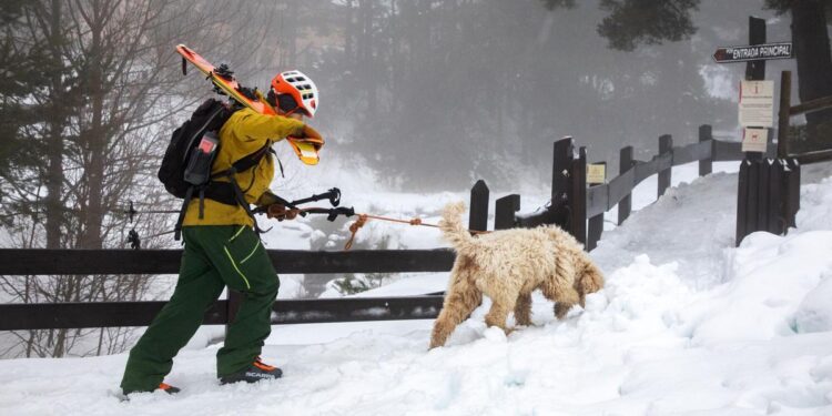La AEMET activa la alerta amarilla por nieve en Madrid: estas son las zonas afectadas