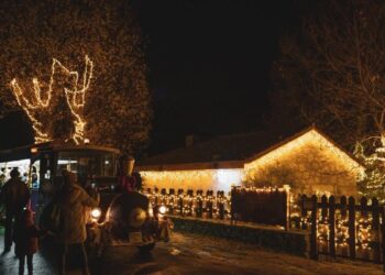 Vuelan las entradas para el tren de la Navidad más bonito de Madrid: solo cuesta cinco euros y te lleva a un valle de película